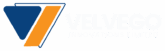 Velvego Group | Autos